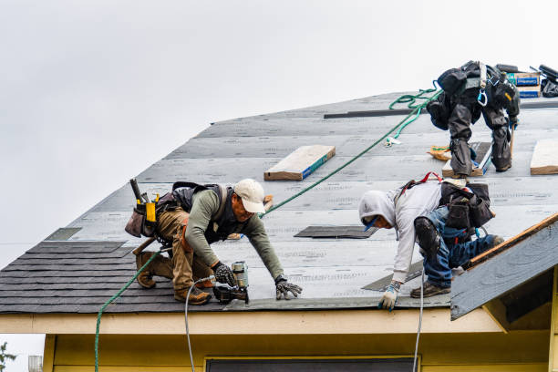 Professional Storm Damage Roof Repair technician working in Black Mountain, NC